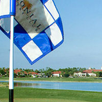 colonial